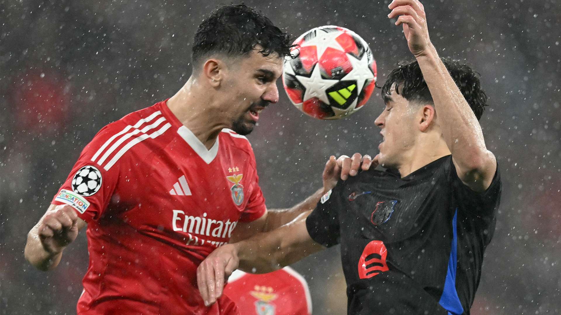 季的開幕 季的開幕